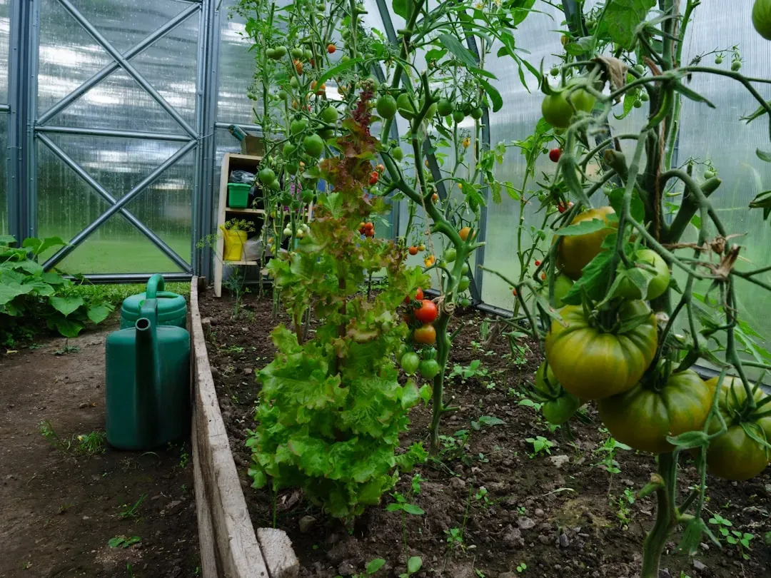 Year-round aquaponics garden displaying spring seedlings, summer fruiting plants, fall harvest vegetables, and winter hardy g