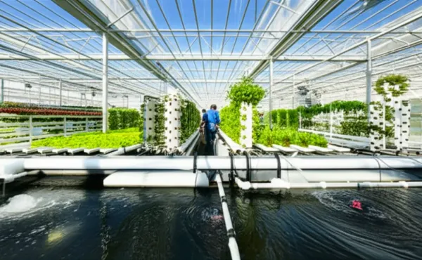 Commercial aquaponics greenhouse with fish tanks, vertical hydroponic towers, and workers managing the integrated farming sys